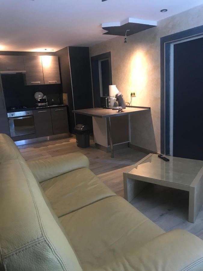 Апартаменты F3 Bord De Loire Complet Десиз Экстерьер фото